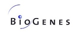 IT-Systemadministrator (m/w/d) mit Schwerpunkt First- und Second-Level-Support